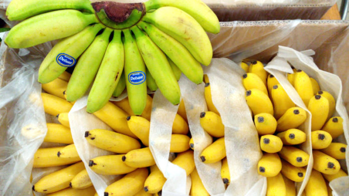 bananas europe direct lucenec